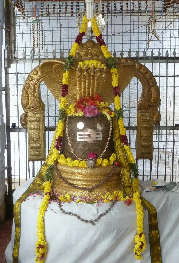 Jambukehwara-shiva-lingam